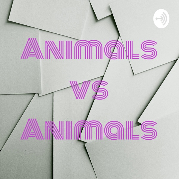 Animals vs Animals Artwork