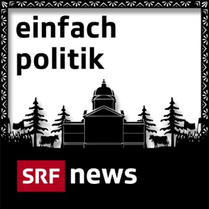 Einfach Politik