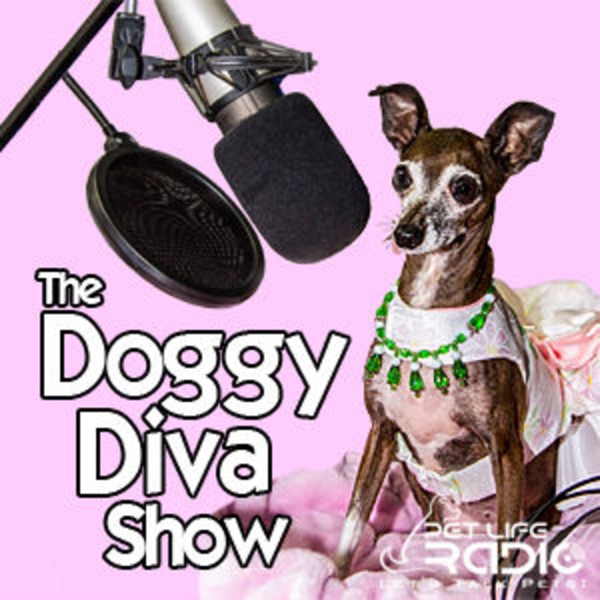 The Doggy Diva Show Artwork