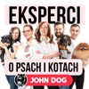 Eksperci o psach i kotach - John Dog