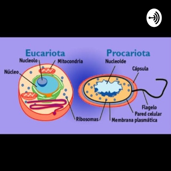Introducción a la Celulas 