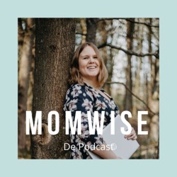 #1.De MomWise Podcast Wie Wat en Waarom