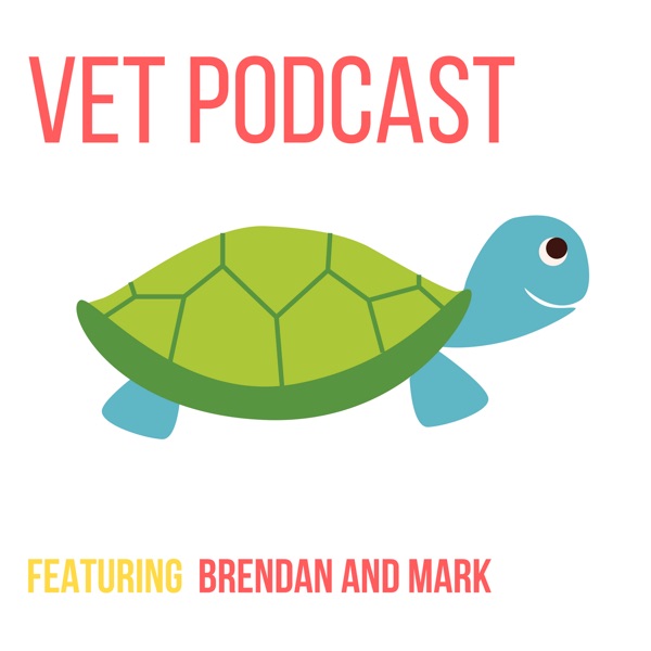 Veterinary Podcast by the VetGurus Artwork