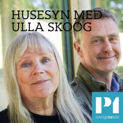 Husesyn med Ulla Skoog: Hon tog sitt hus och drog