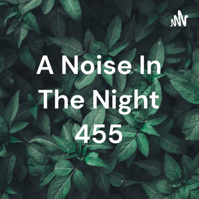 A Noise In The Night 455