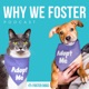 Fostering the Foster Movement
