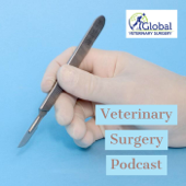 Veterinary Surgery Podcast - Jolle Kirpensteijn