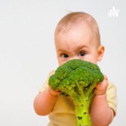 Consistência da Alimentação