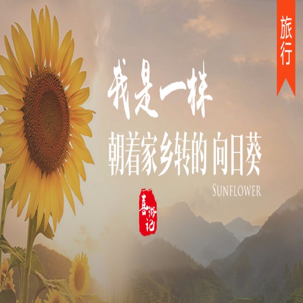 我是一株朝着家乡转的向日葵