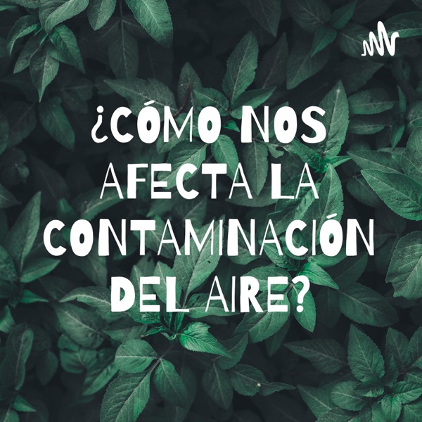 ¿CÓMO NOS AFECTA LA CONTAMINACIÓN DEL AIRE?