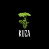 Kuza