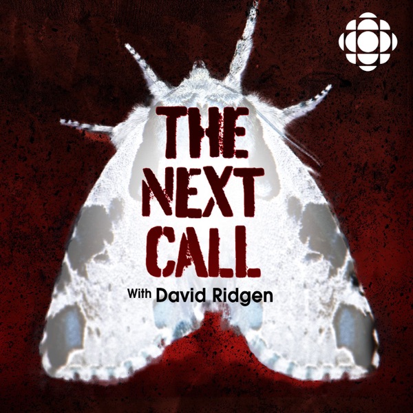 The Next Call with David Ridgen banner image