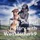 The Shelter Story with WolfMotherk9