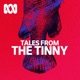 Tales from the Tinny: THE FINAL MULLET.