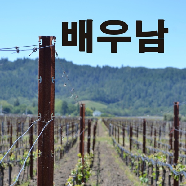 배우남의 영어회화