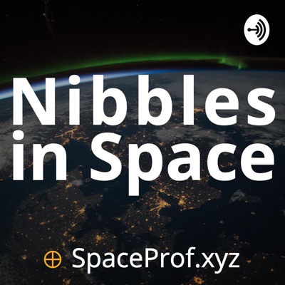 Nibbles in Space