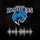 Panthers Podcast - Dan Murray