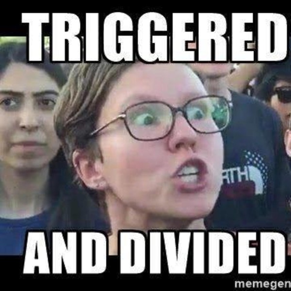 Triggered And Divided