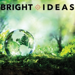 Bright Ideas: 3 Months on Analyzing the Impacts of COVID-19 and TALF on the ABS Markets