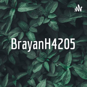 BrayanH4205