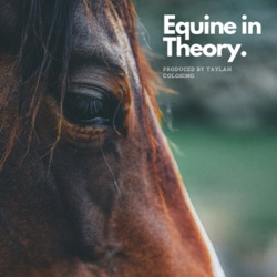 Equine In Theory