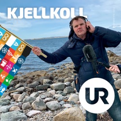 Kjellkoll