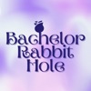Bachelor Rabbit Hole artwork