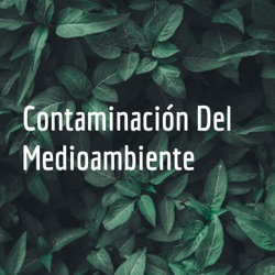 Contaminación Del Medioambiente 