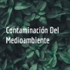 Contaminación Del Medioambiente 