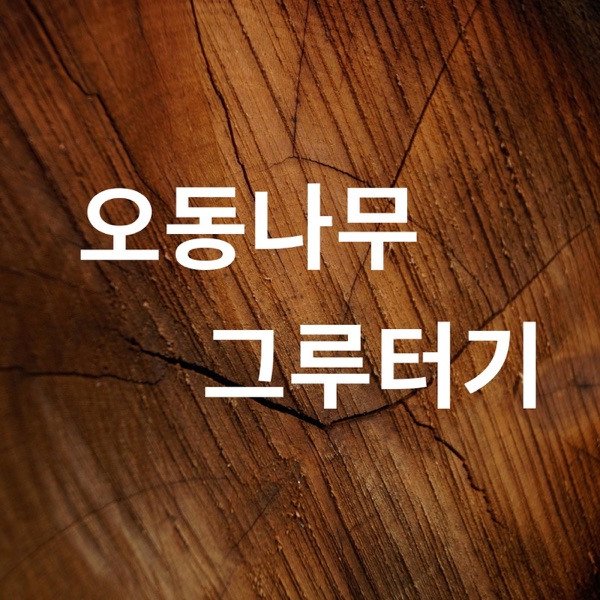 오동나무 그루터기