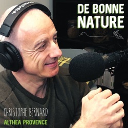 Bienfaits De L'avoine - La Grande Restructurante
