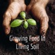 Growing Food In Living Soil