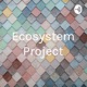 Ecosystem Project