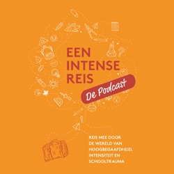 Als het systeem niet past; in gesprek met Sima Daoud