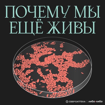Почему мы еще живы Почему мы еще живы