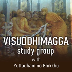 Visuddhimagga Study Group 17