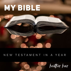 New Testament in a Year