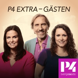 P4 Extras partiledarintervju med Magdalena Andersson (S)