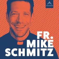 Fr. Mike Schmitz Reviews 