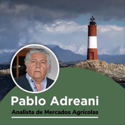 AUDIOMARKET - Análisis del informe USDA de hoy 12/10. Reacción de los mercados Bullishmarket en maíz y soja