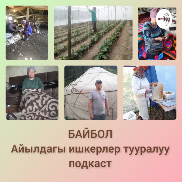 Байбол
