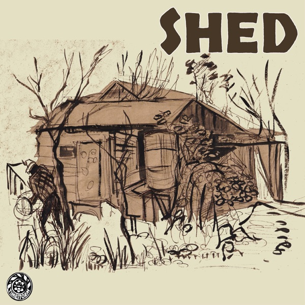 Shed photo