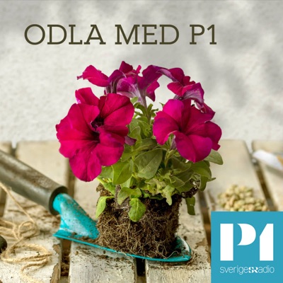 Odla med P1:Sveriges Radio
