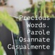 - Precious Words - Voli Pindarici