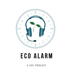 Eco Alarm