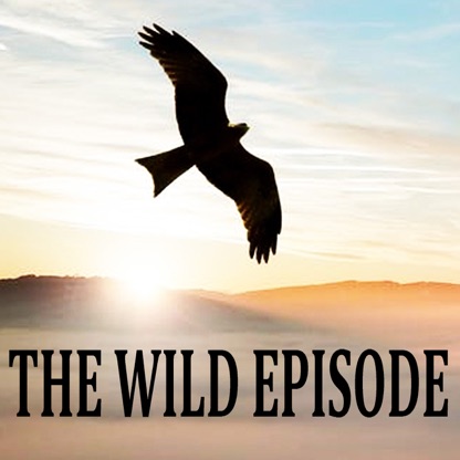 The Wild Episode