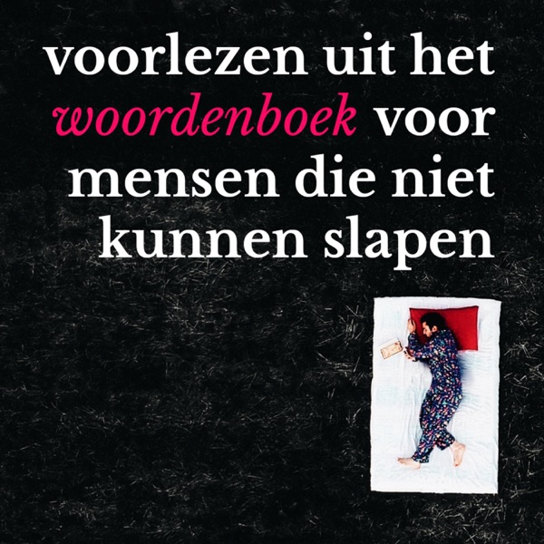 Voorlezen uit het woordenboek voor mensen die niet kunnen slapen