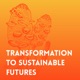 Transformation to Sustainable Futures