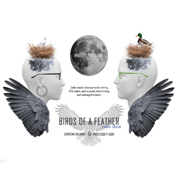 Birds Of A Feather (BOAFONAIR) Artwork