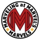 Marveling at Marvel's Marvels